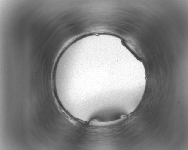 X0000063491191200602172042