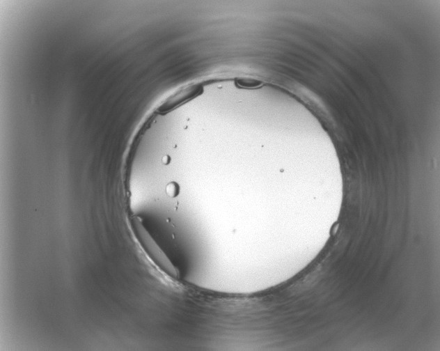 X0000063491192200602172042