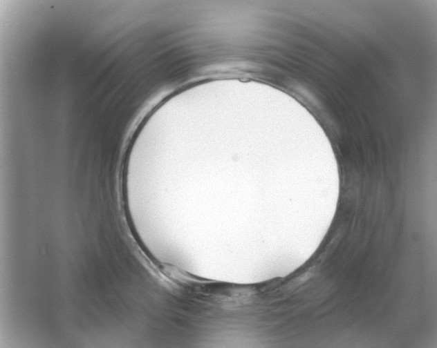 X0000063491196200602172042