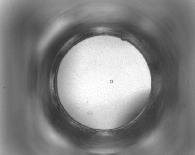 X0000063491199200602172042