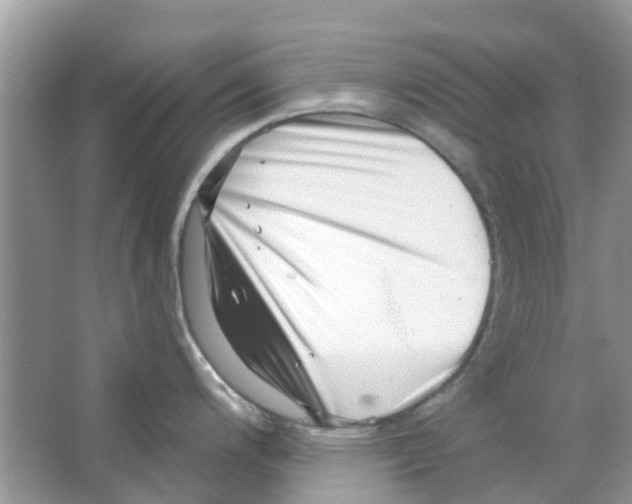 X0000063491200200602172042