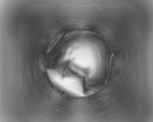 X0000063491202200602172041