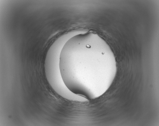 X0000063491206200602172041