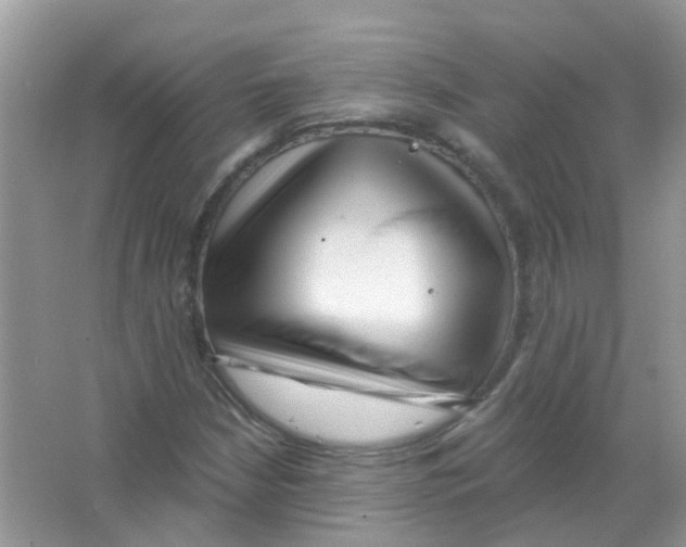 X0000063491210200602172042