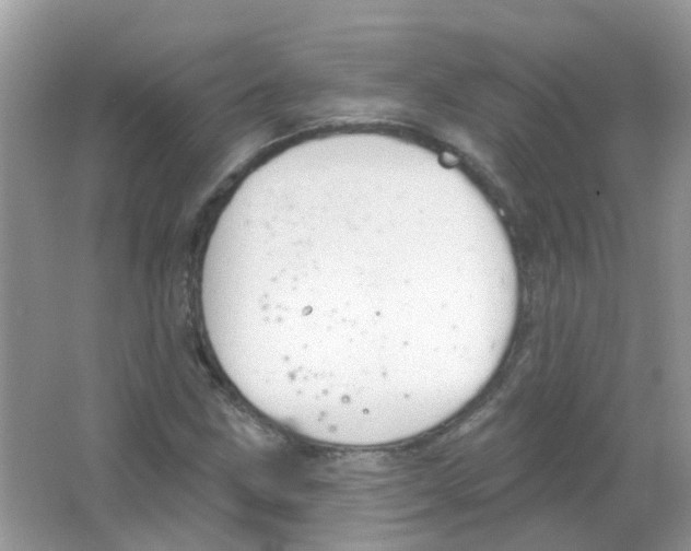 X0000063491211200602172042