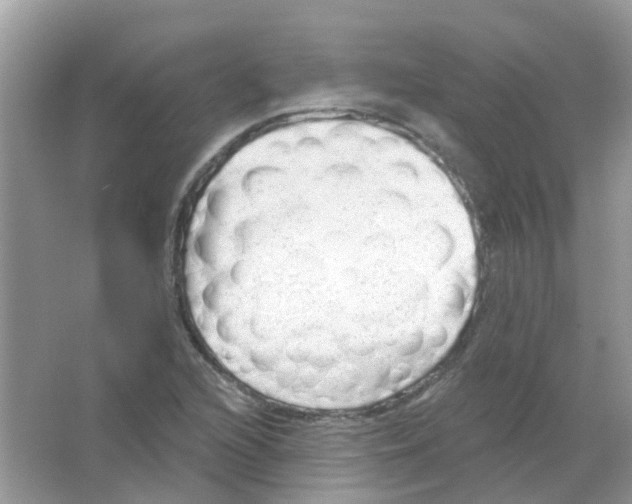 X0000063491216200602172042