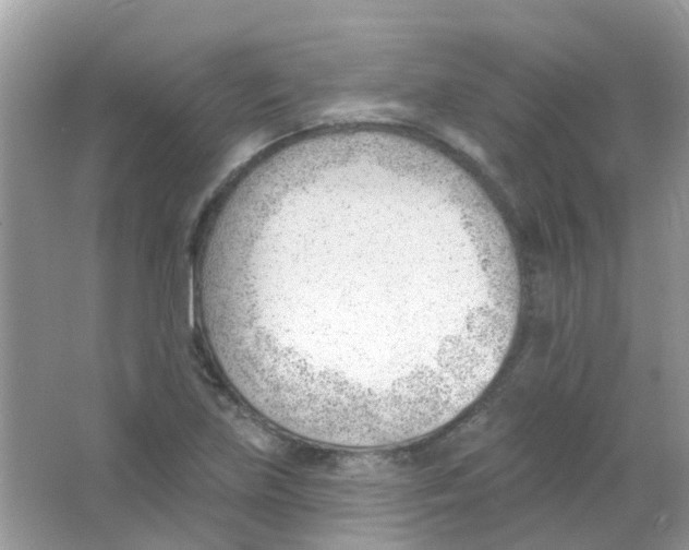 X0000063491219200602172042