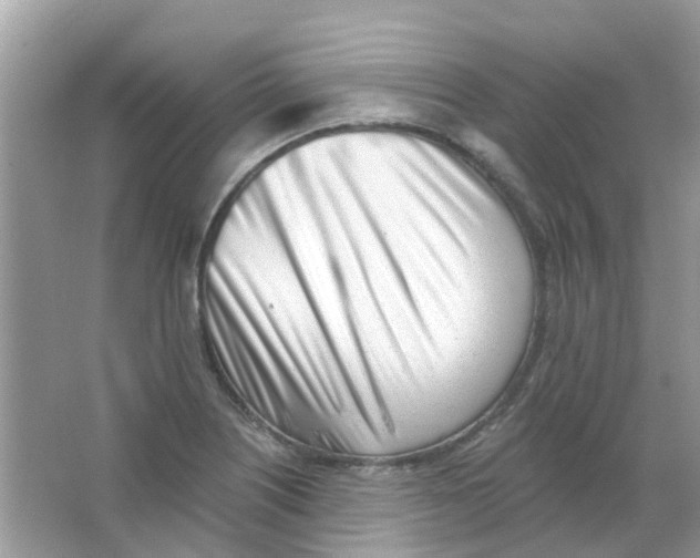 X0000063491226200602172042