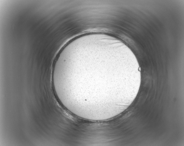 X0000063491228200602172042