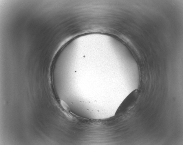 X0000063491230200602172042