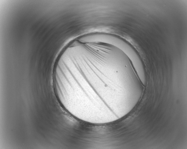 X0000063491232200602172042