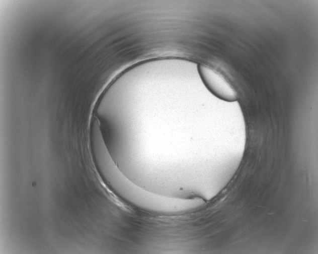 X0000063491236200602172042