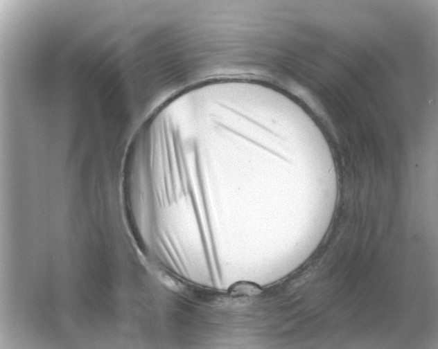 X0000063491237200602172042