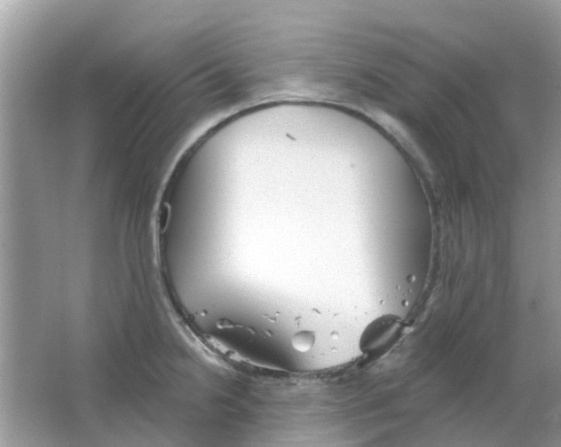 X0000063491238200602172042