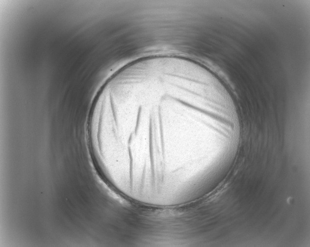 X0000063491239200602172042