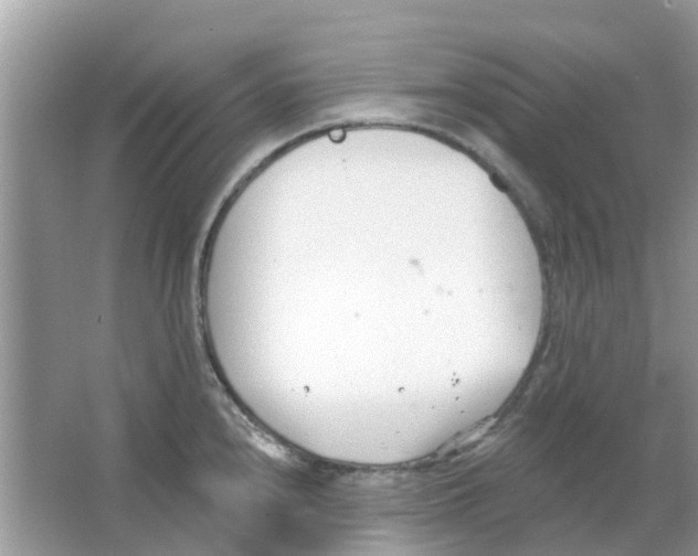 X0000063491240200602172042