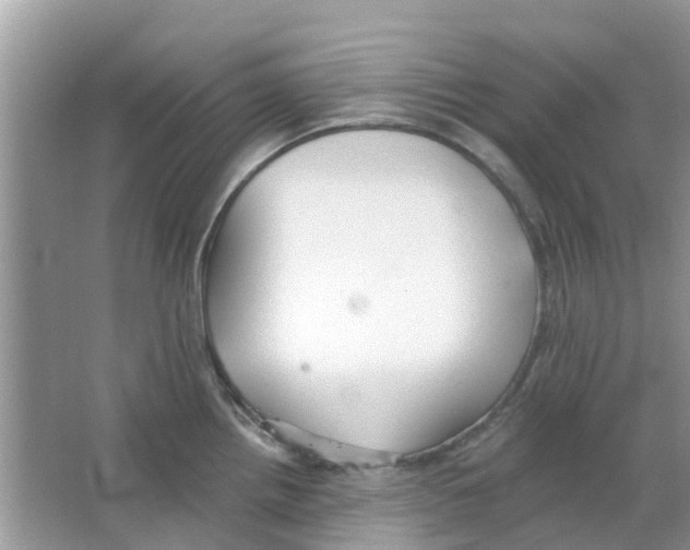 X0000063491242200602172042