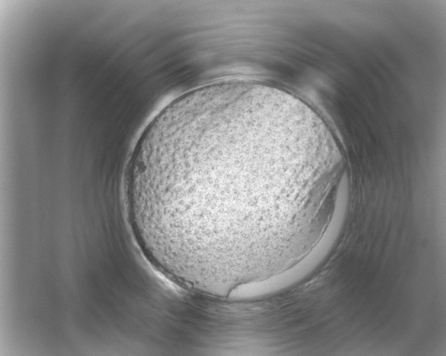 X0000063491243200602172042