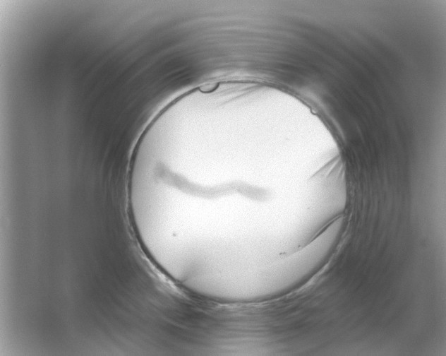 X0000063491244200602172042