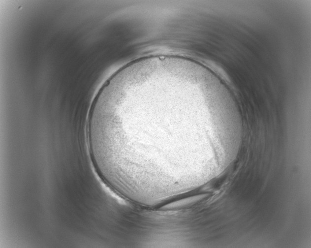 X0000063491247200602172042