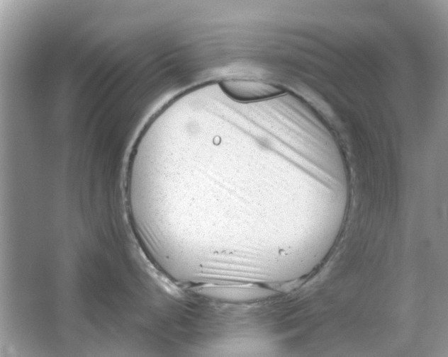 X0000063491248200602172042