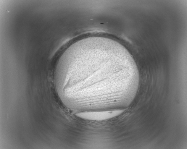 X0000063491255200602172041