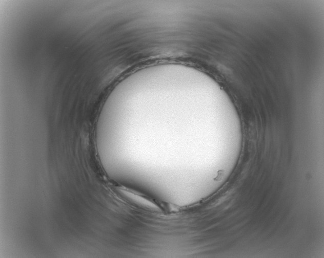 X0000063491257200602172041