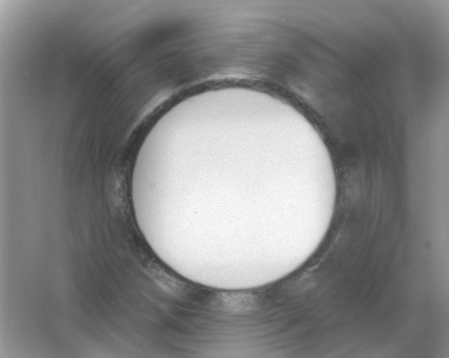 X0000063491258200602172041