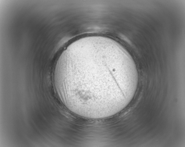 X0000063491259200602172041