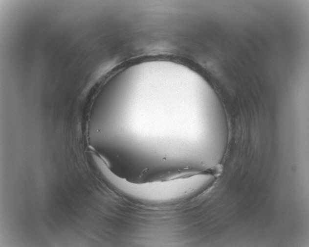 X0000063491261200602172041