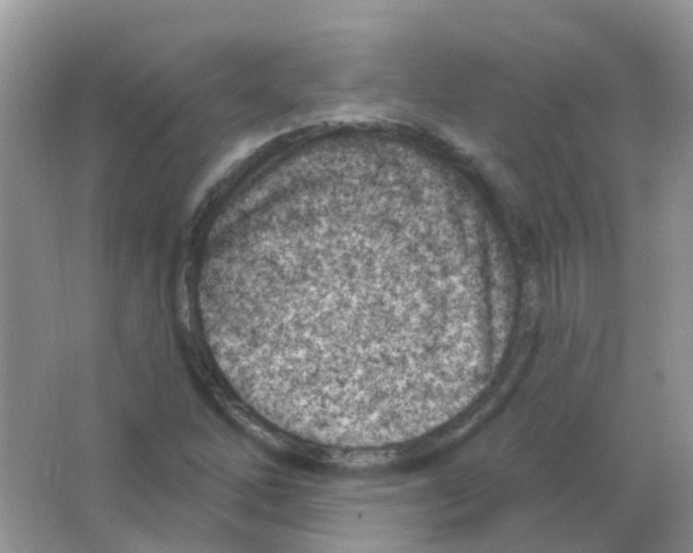 X0000063491262200602172041