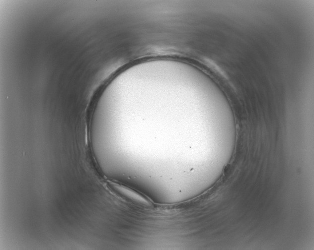 X0000063491269200602172041