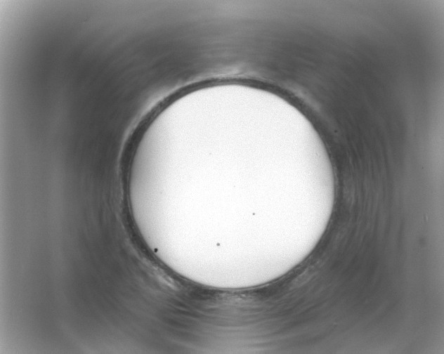 X0000063491270200602172041