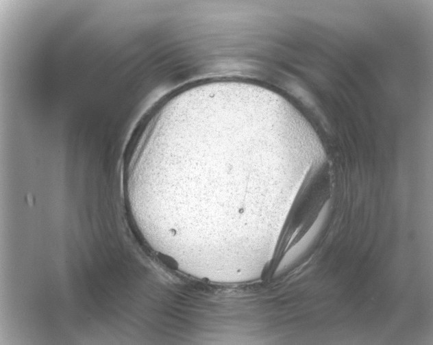 X0000063491275200602172041