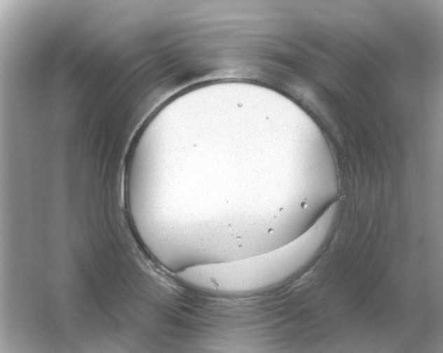 X0000063491276200602172041