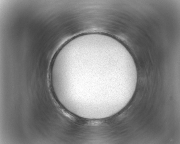 X0000063491278200602172041