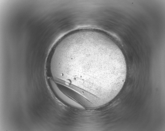 X0000063491279200602172041