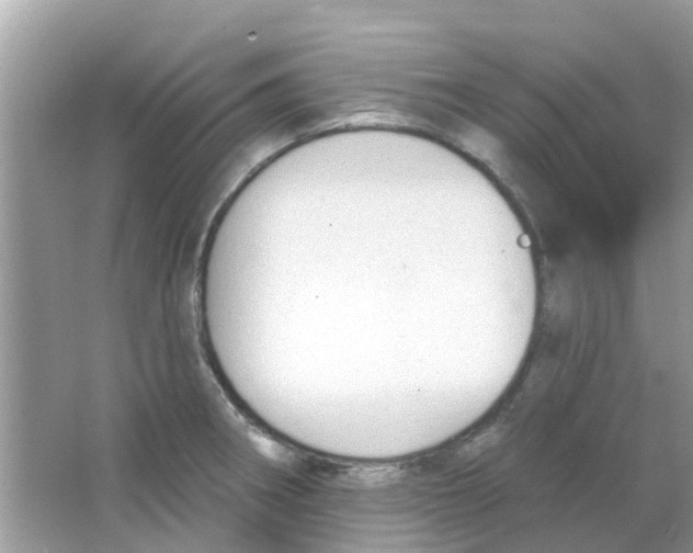 X0000063491282200602172041