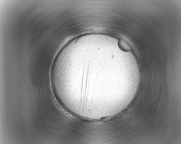 X0000063491283200602172041