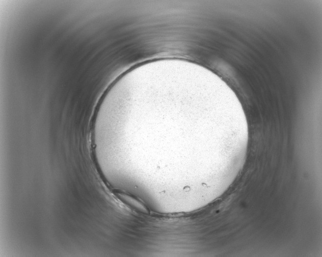 X0000063491284200602172041