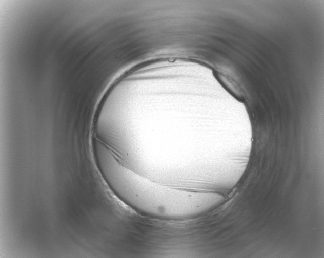 X0000063491288200602172041