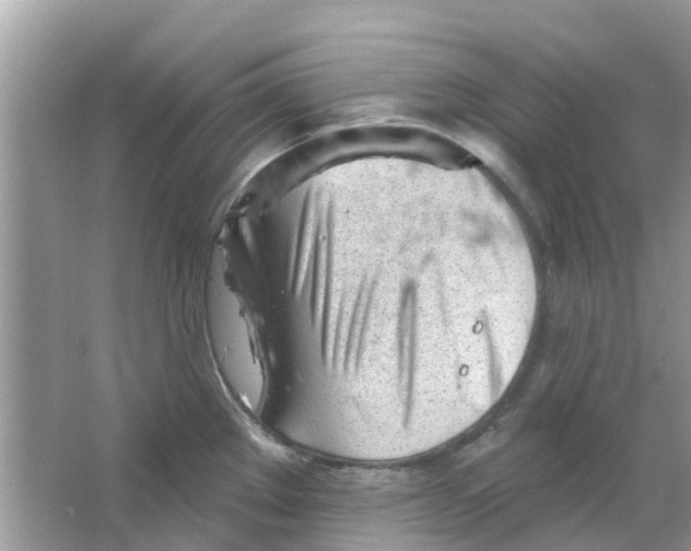 X0000063491289200602172041