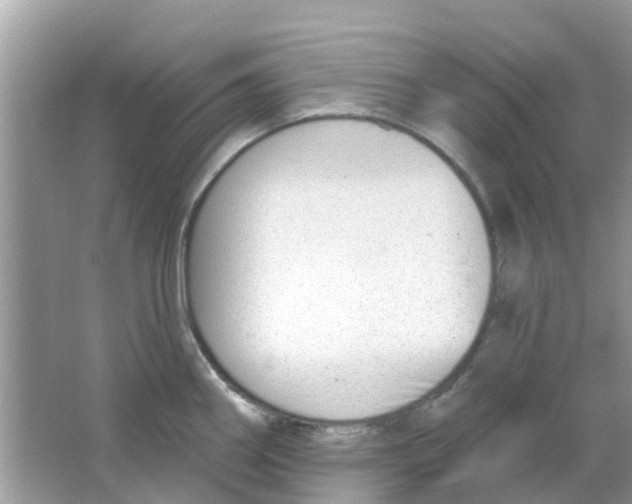 X0000063491290200602172041