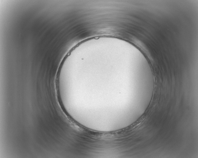 X0000063491291200602172041