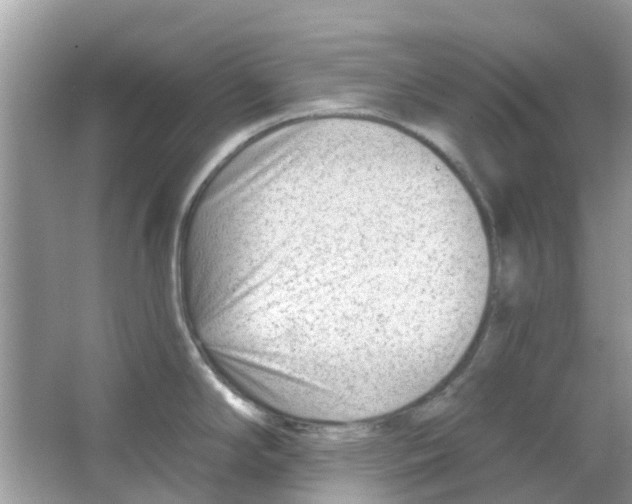 X0000063491294200602172041