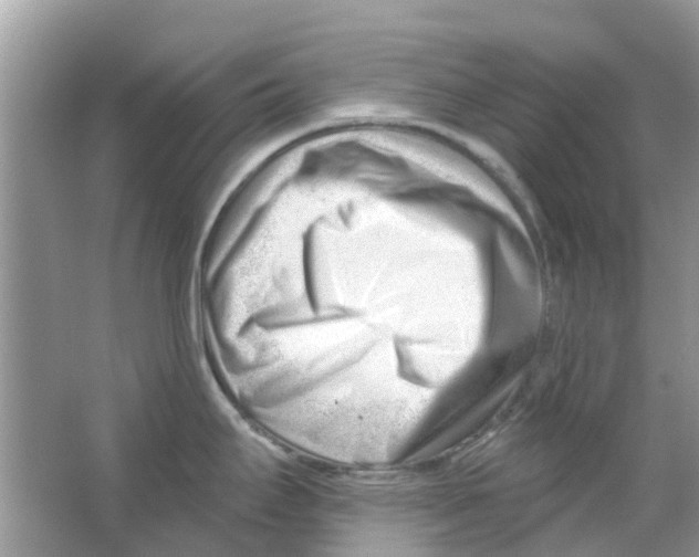 X0000063491295200602172041