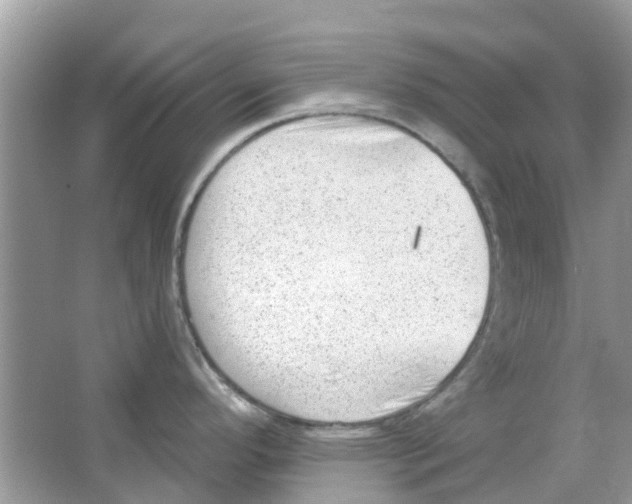 X0000063491296200602172041