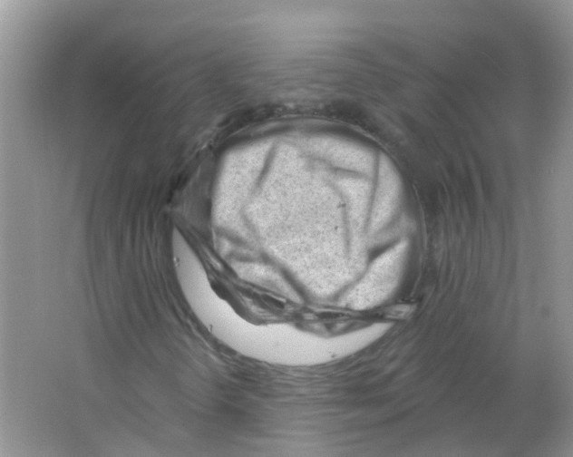 X0000063491298200602172040