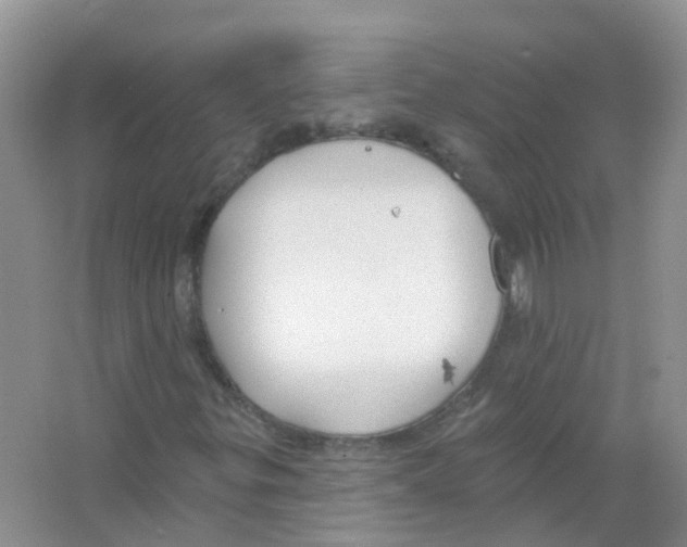 X0000063491299200602172040