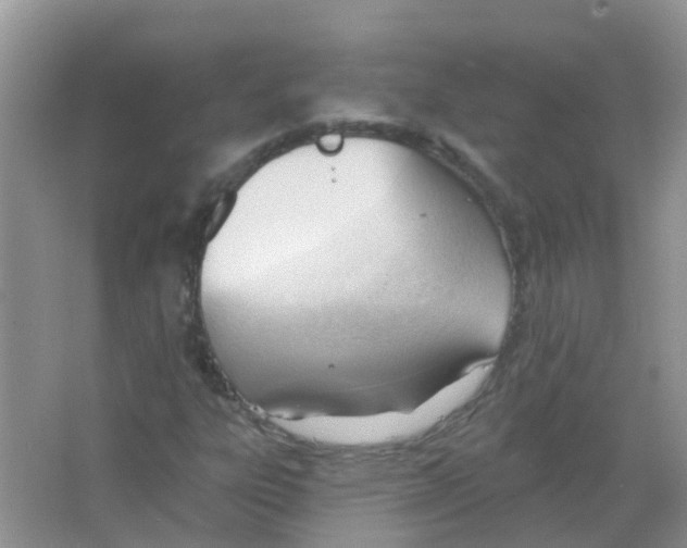 X0000063491303200602172040